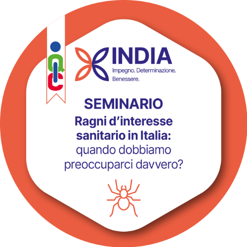 Ragni d'interesse sanitario in Italia: quando dobbiamo preoccuparci davvero?